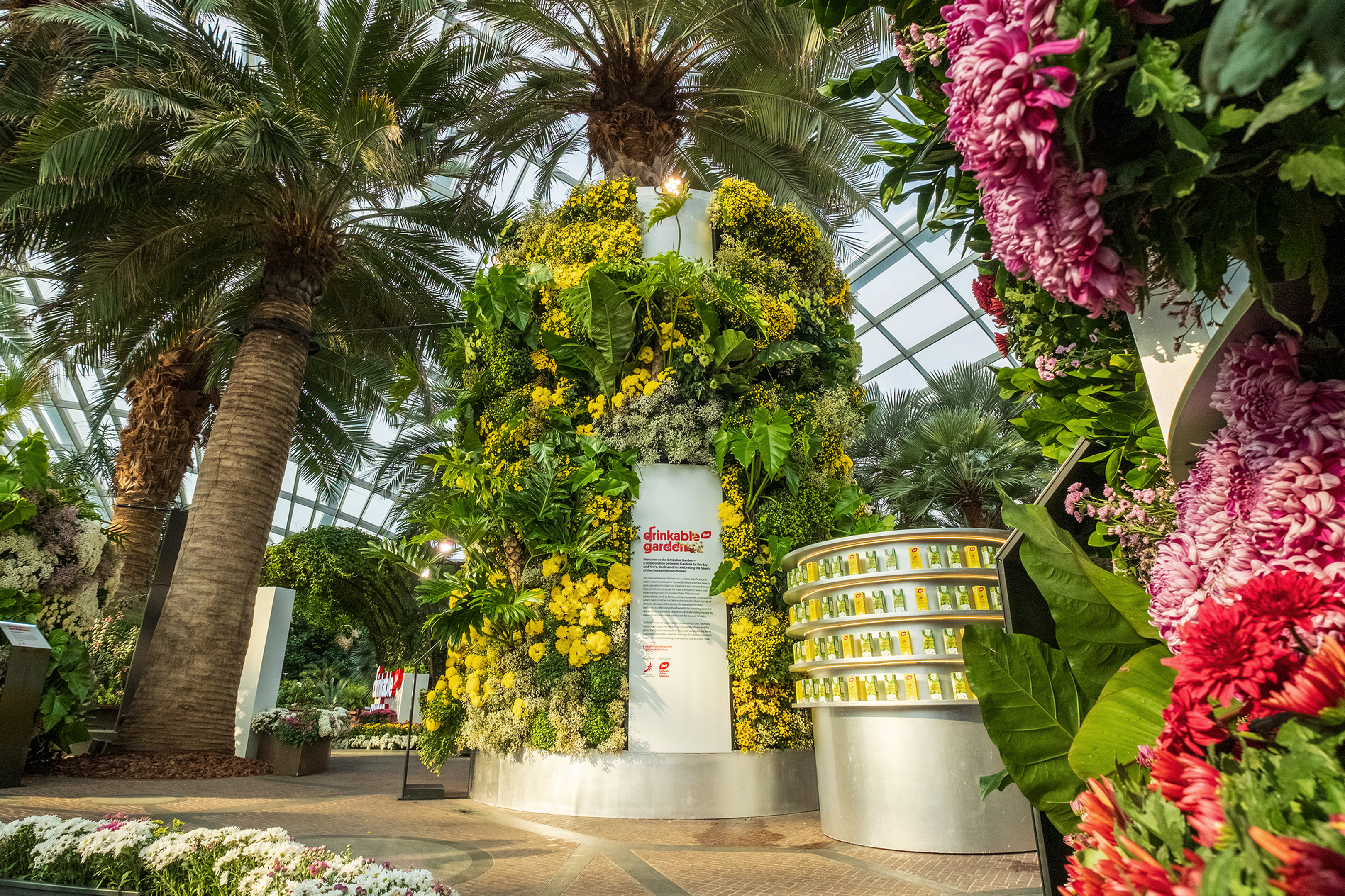 Yeo's Drinkable Garden pays homage to the humble chrysanthemum flower