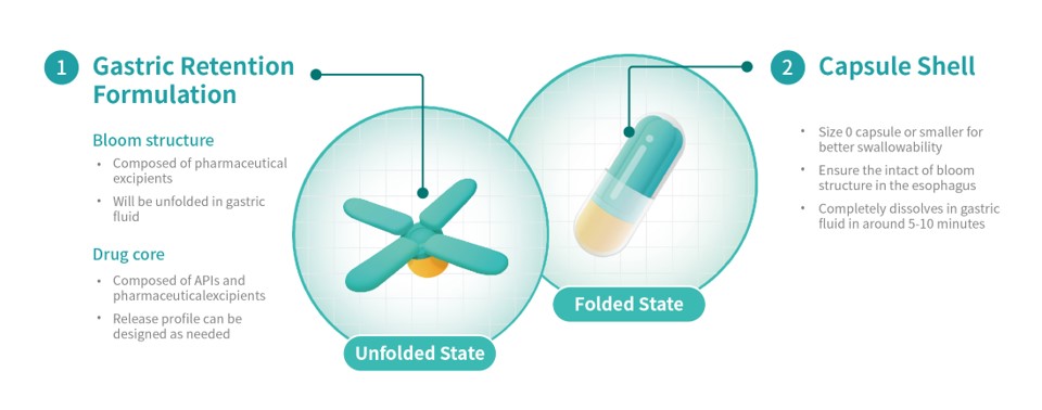 Triastek's 3D Printed Gastric Retention Product T22 Receives FDA Clearance of IND Application